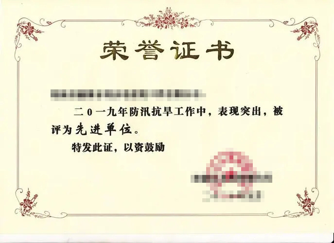 Certificate of Honor 6